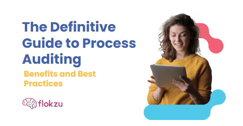 process auditing guide