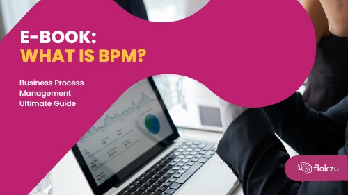 Ebook What is a BPM Ultimate Guide Flokzu 1 copy